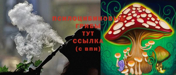 бошки Алексин