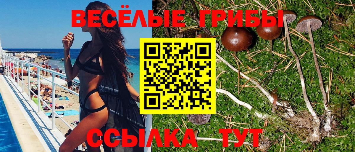 Псилоцибиновые грибы прущие грибы  Вход с VPN  Галлюциногенные грибы прущие грибы  Шуя 